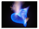 Fires of Love